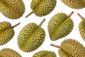 seamless durian pattern on white background