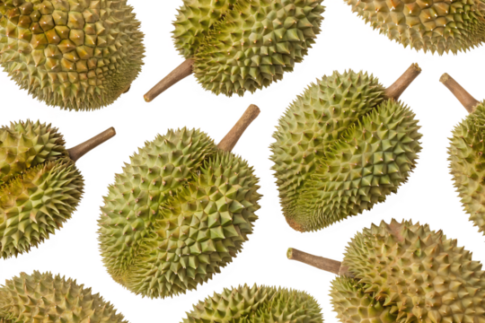 seamless durian pattern on white background