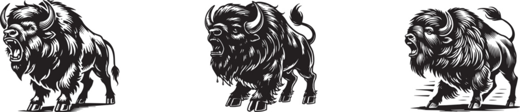 set of aggressive Bison illustration , black and white American buffalo vector