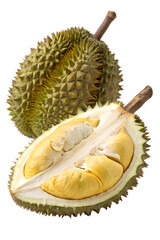 Obraz premium durian isolated on white background