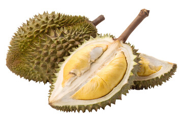 Obraz premium durian isolated on white background