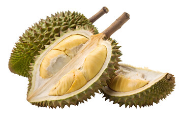 Fototapeta premium durian isolated on white background