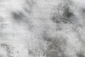 Grunge texture. Gray concrete wall with white paint, scratches, cracks and tree shadow.