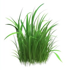 Vibrant Green Grass Blades Lush Meadow Isolated on White Background Detailed 3D Render
