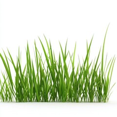 Vibrant Green Grass Blades on White Background Lush Spring Meadow, Nature's Freshness, Eco-Friendly Imagery