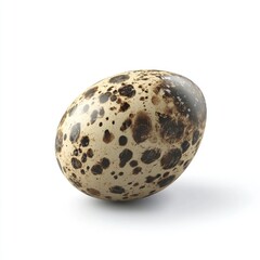 A Close-Up Shot of a Single Speckled Quail Egg Isolated on a White Background, Displaying its Unique and Intricate Pattern