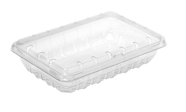 Empty transparent plastic container with lid, retail packaging