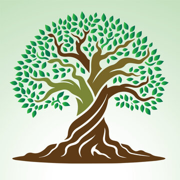 beautyful Old tree droing illustration