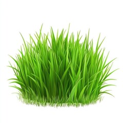 Vibrant Green Grass Tuft Isolated on White Background Lush Spring Meadow Nature Image