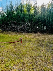 Naklejka premium sprinkler spraying water on the lawn