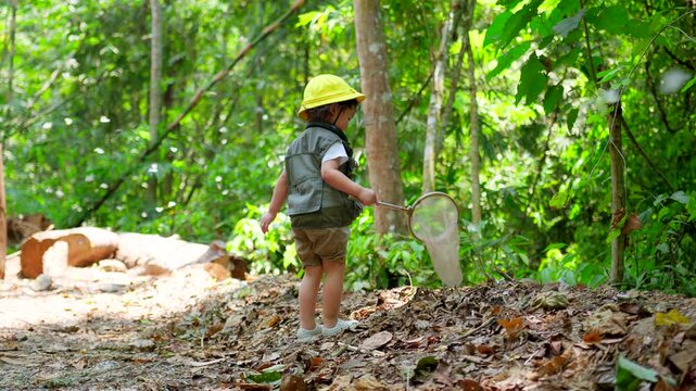 A Young Explorer Asian child dressed for adventure with Hat holding a net catching butterflies in a forest, ready to explore Discovering the wonders of nature in Lush Greenery