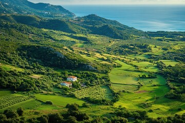 Fototapeta premium Beautiful aerial view of lush Mediterranean nature in Greece during daylight, Green nature of Mediterranean Greece Aerial view of rural Zakynthos areas