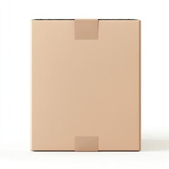 Sealed Cardboard Box with Delivery Package, and Blank Template.