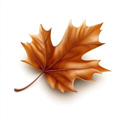 Naklejka premium Autumn Maple Leaf Golden Hues on White.