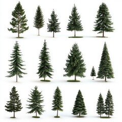 Obraz premium Evergreen Tree Collection 3D Models for Design.