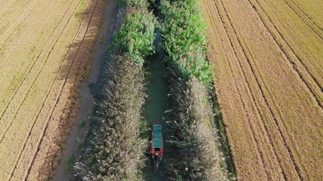 CAMPOS DE ARROZ VALENCIA ALBUFERA