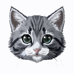 むすっとした可愛いアメリカンショートヘア