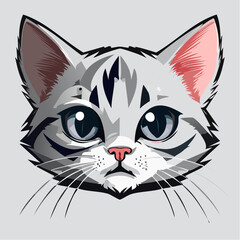 むすっとした可愛いアメリカンショートヘア