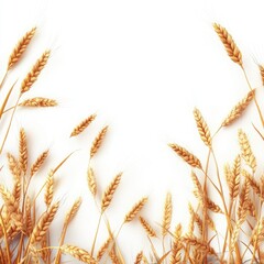 Golden Wheat Border Rustic Harvest Frame.