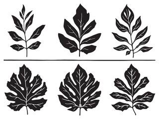 Obraz premium Elegant Cast Iron Plant Leaf Outline Vector Design