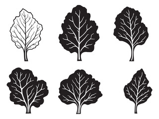 Elegant Chard Leaf Detailed Line Art Design