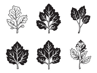 Elegant Fiddlehead Fern in Minimalist Line Art