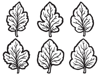 Elegant Foxglove Floral Line Drawing with Detailed Petals