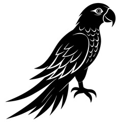 Obraz premium A macaw silhouette vector illustration on white background 