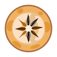 Sapodilla naseberry Jamaican fruit slice vector illustration 