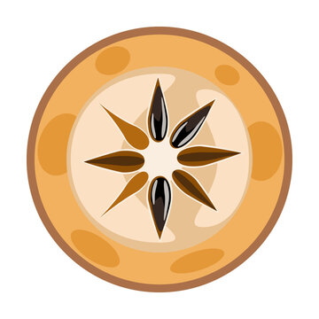 Sapodilla naseberry Jamaican fruit slice vector illustration 