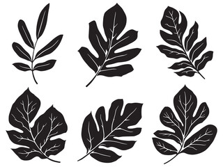 Elegant line art illustration of ebony leaf design
