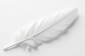Close-up of pristine white feathers on stark white background, background, beauty
