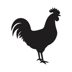 rooster black silhouette vector illustration