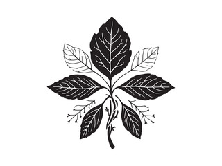 Elegant Rue leaf outline vector illustration