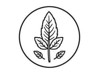 Elegant Sage Leaf Line Drawing Vector for Organic Artwork