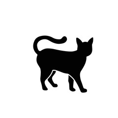 black cat on white background