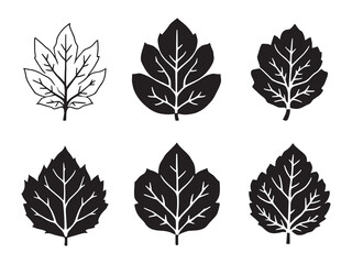 Fototapeta premium Elegant tamarind leaf line sketch for natural artwork