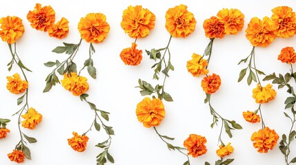 Vibrant Marigold Flower Garland Displayed Against White Background