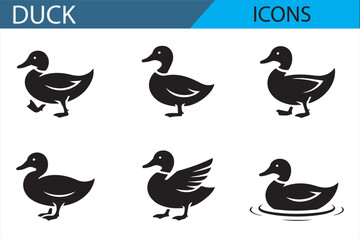 Vector Icons of Ducks - Various Poses Including Flight, Walk, and Swim