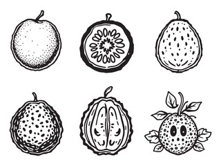 Feijoa line art icon minimalist organic healthy symbol