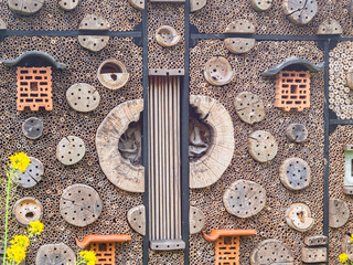 Detailed image of an insect house, also known as insect or bug hotel