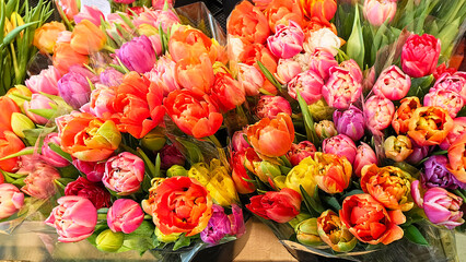 Bright bouquets of tulips of different colors in a flower shop. Ideal for spring holidays and flower decorations. The concept of promotions, discounts and flower sales