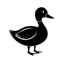 Mallard Duck Waterfowl Vector Art