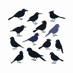 Different kinds of Birds silhouettes icon