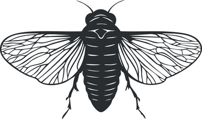Detailed black silhouette vector illustration of a cicada insect with spread wings showing wing veins