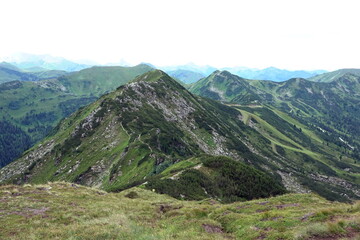 Plannereck