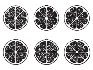 Grapefruit line art icon modern minimalist drawing