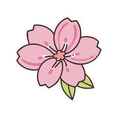 Illustration of pink cherry blossom flower drawing with leaves for spring season design art