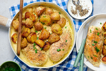 Chicken breast and potatoes in a creamy sauce.top veiw