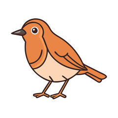 Illustration of a cute orange robin bird drawing vector graphic design for nature lovers and birdwatchers